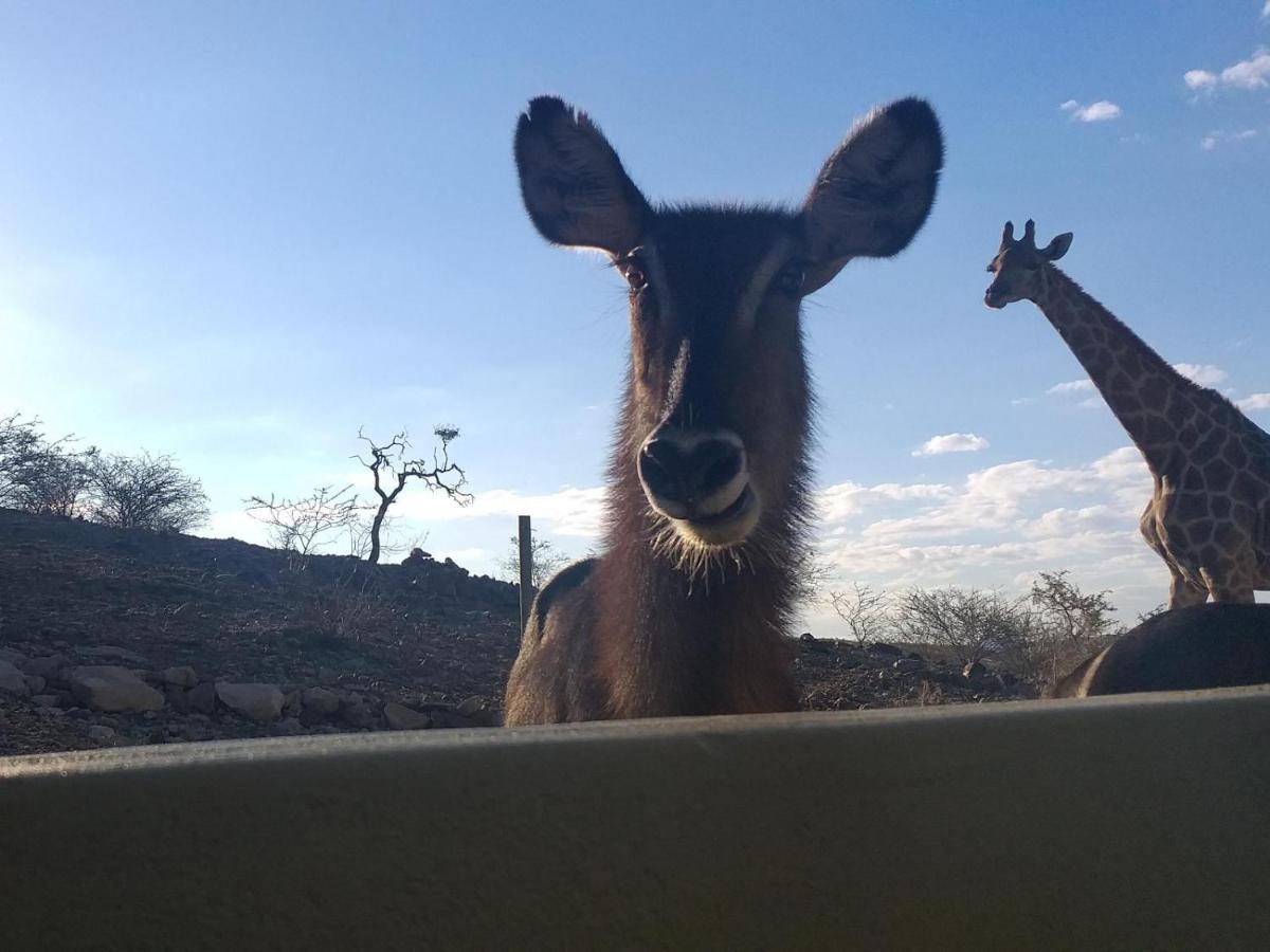 Uitkyk Guest Farm Hotel Usakos Buitenkant foto