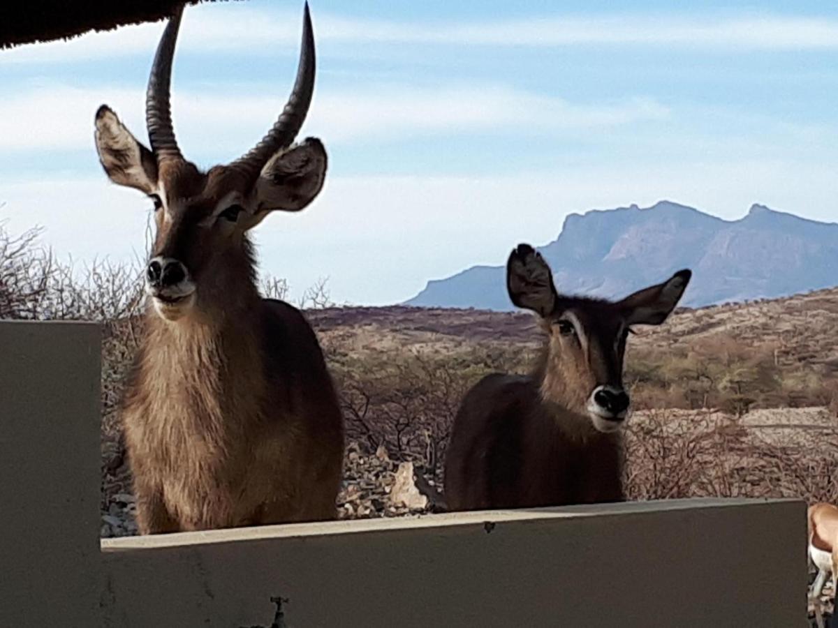 Uitkyk Guest Farm Hotel Usakos Buitenkant foto