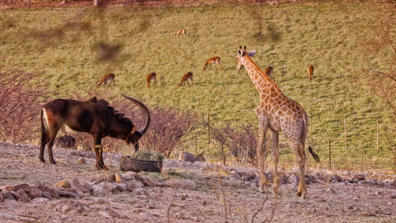 Uitkyk Guest Farm Hotel Usakos Buitenkant foto